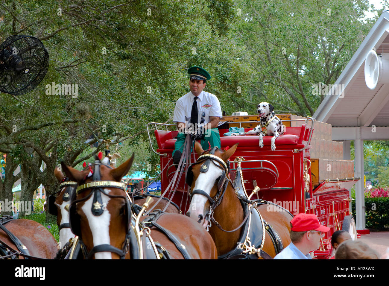 Anheuser Busch's Budweiser Clydesdale Horse Wagon à Seaworld Orlando Florida USA Banque D'Images