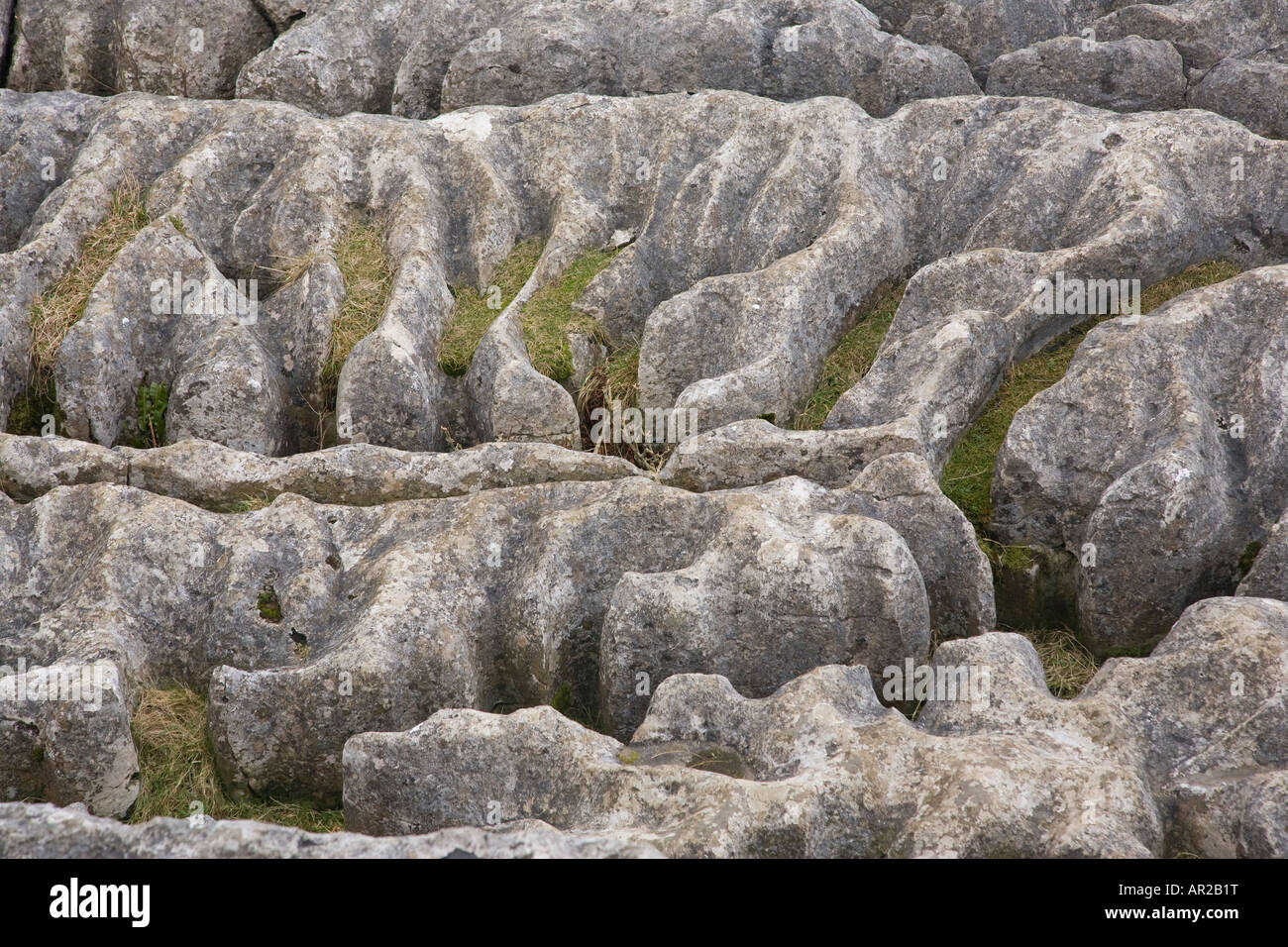 Au-dessus de lapiez Malham Cove Yorkshire Dales National Park North Yorkshire Banque D'Images