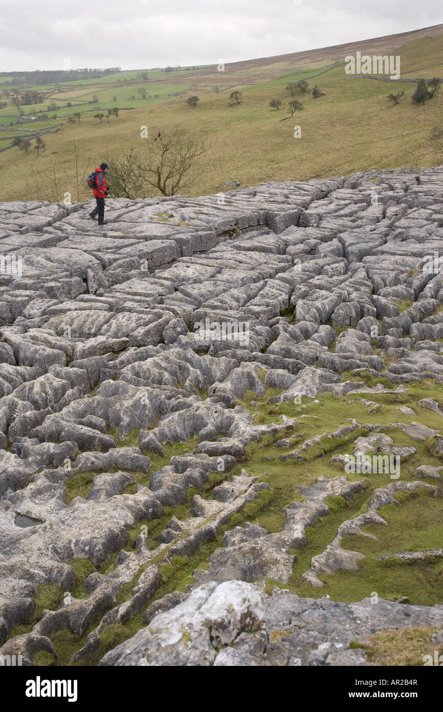 Au-dessus de lapiez Malham Cove Yorkshire Dales National Park North Yorkshire Banque D'Images