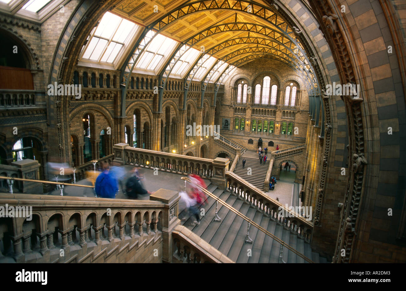 Natural History Museum, Londres Banque D'Images