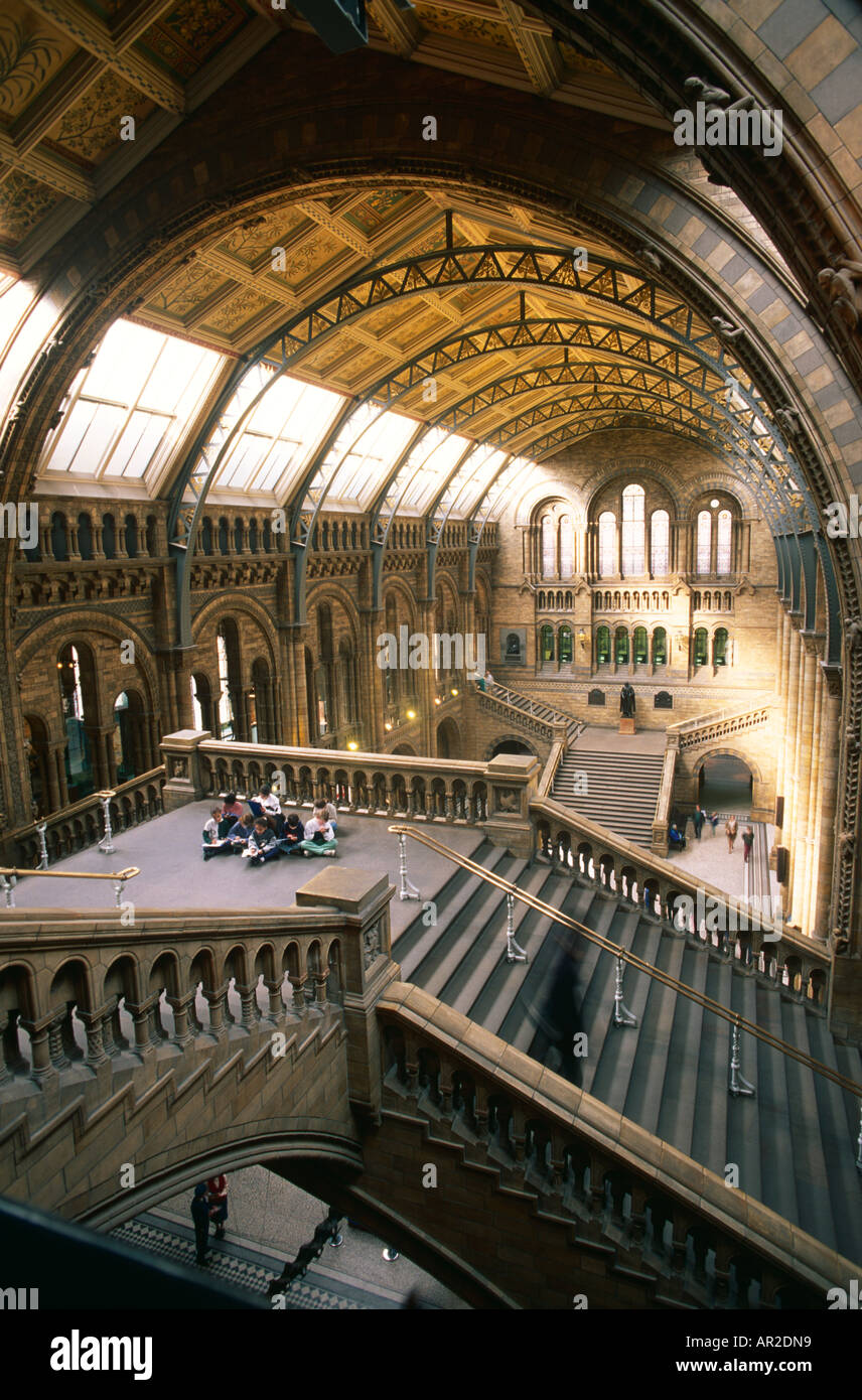 Natural History Museum, Londres Banque D'Images