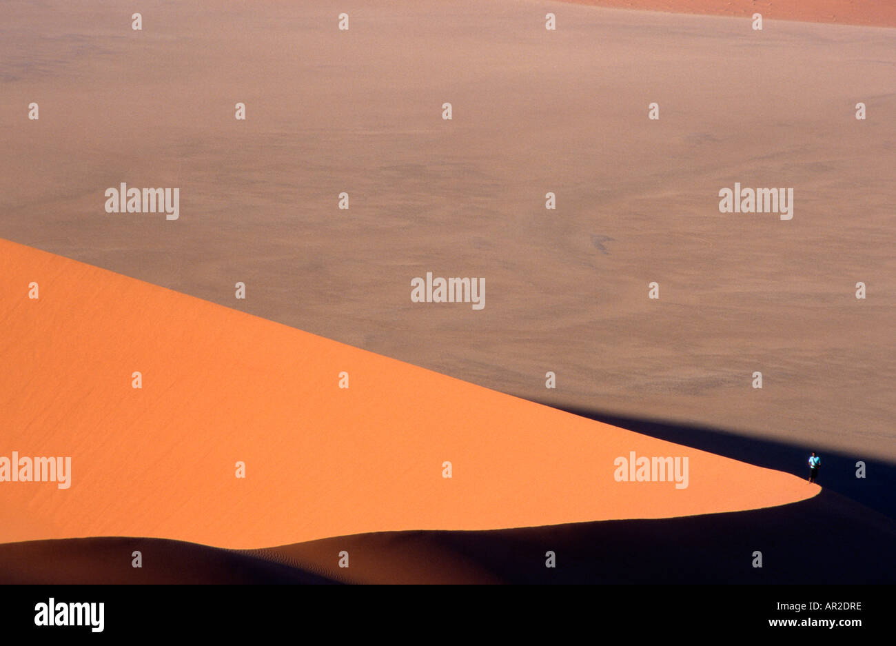 La figure solitaire, Sossus plus hautes dunes dunes de sable ; dans le monde ; Banque D'Images