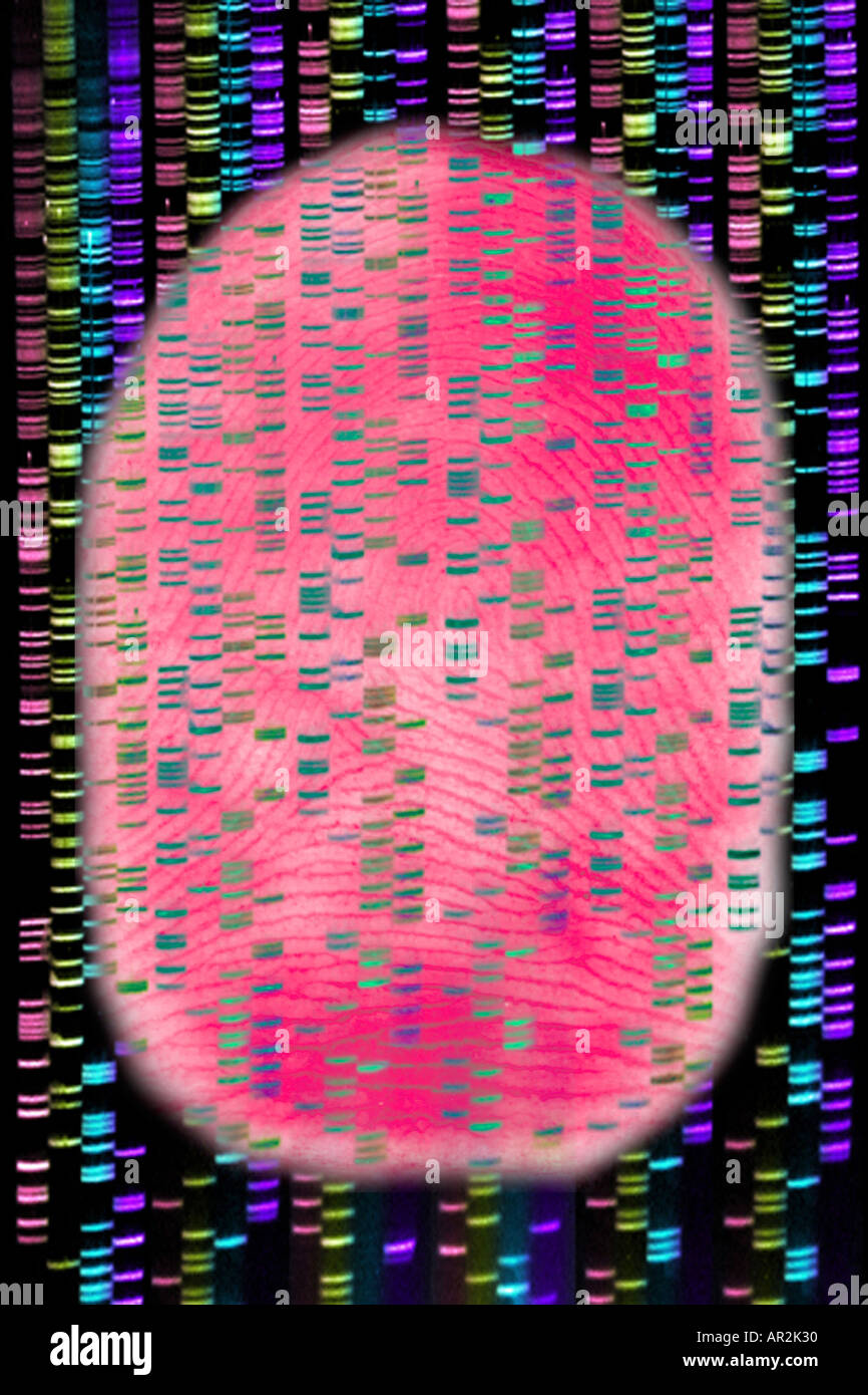 Image illustrant le concept d'empreintes d'un montage d'une empreinte et un gel d'électrophorèse d'ADN Banque D'Images