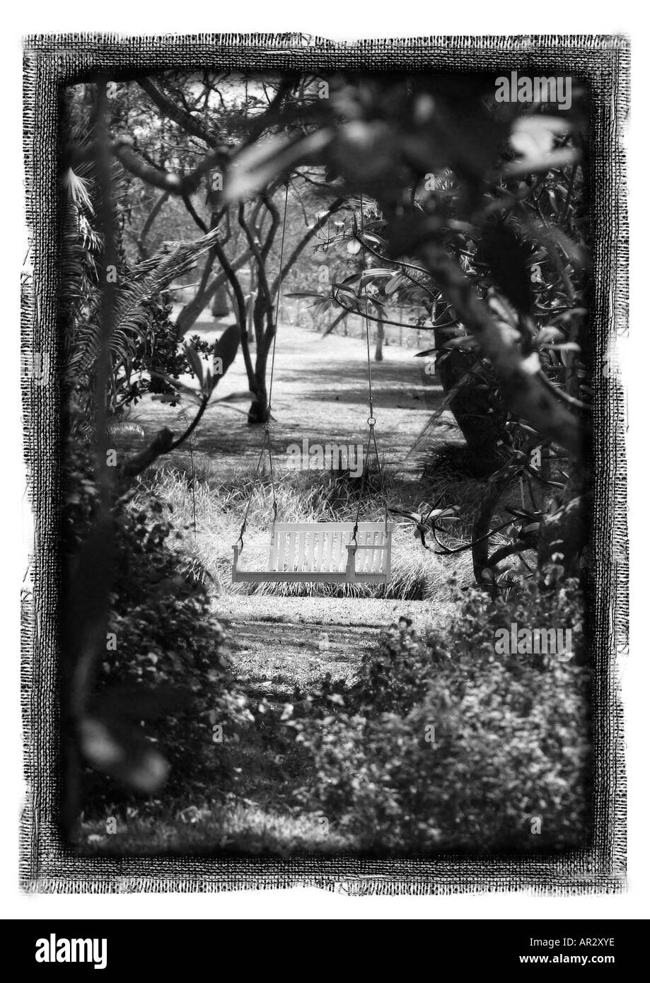 Une chaise oscillante dans le jardin d'une ancienne plantation house sur l'île de la Barbade. Banque D'Images