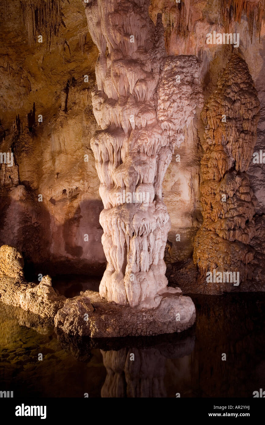 Printemps Devils, Carlsbad Caverns National Park, Nouveau Mexique USA Banque D'Images