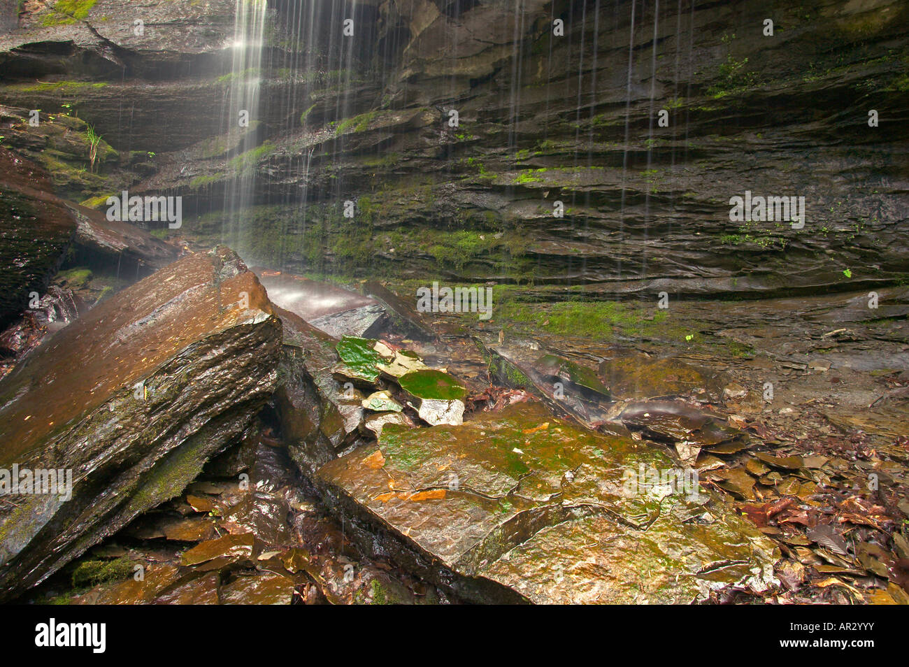 Cascade dans le creux de l'automne, Natchez Trace Parkway, West Virginia USA Banque D'Images