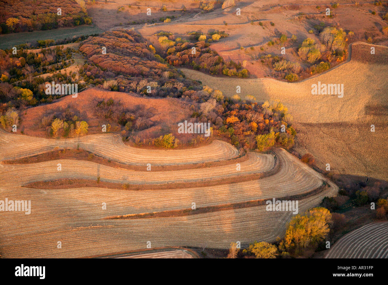 Vue aérienne de ferme sur les collines de Lœss, Monona Comté (Iowa USA Banque D'Images