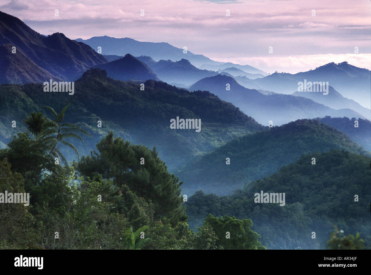 Morning Mist dans les Cordillères montagnes, Mountain Province, Luzon, Philippines, Asie Banque D'Images