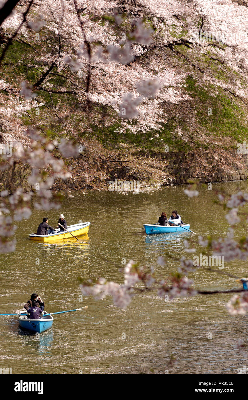 Les gens profiter de la navigation de plaisance sur les douves du palais impérial pendant la saison des cerisiers en fleur à Tokyo au Japon Banque D'Images