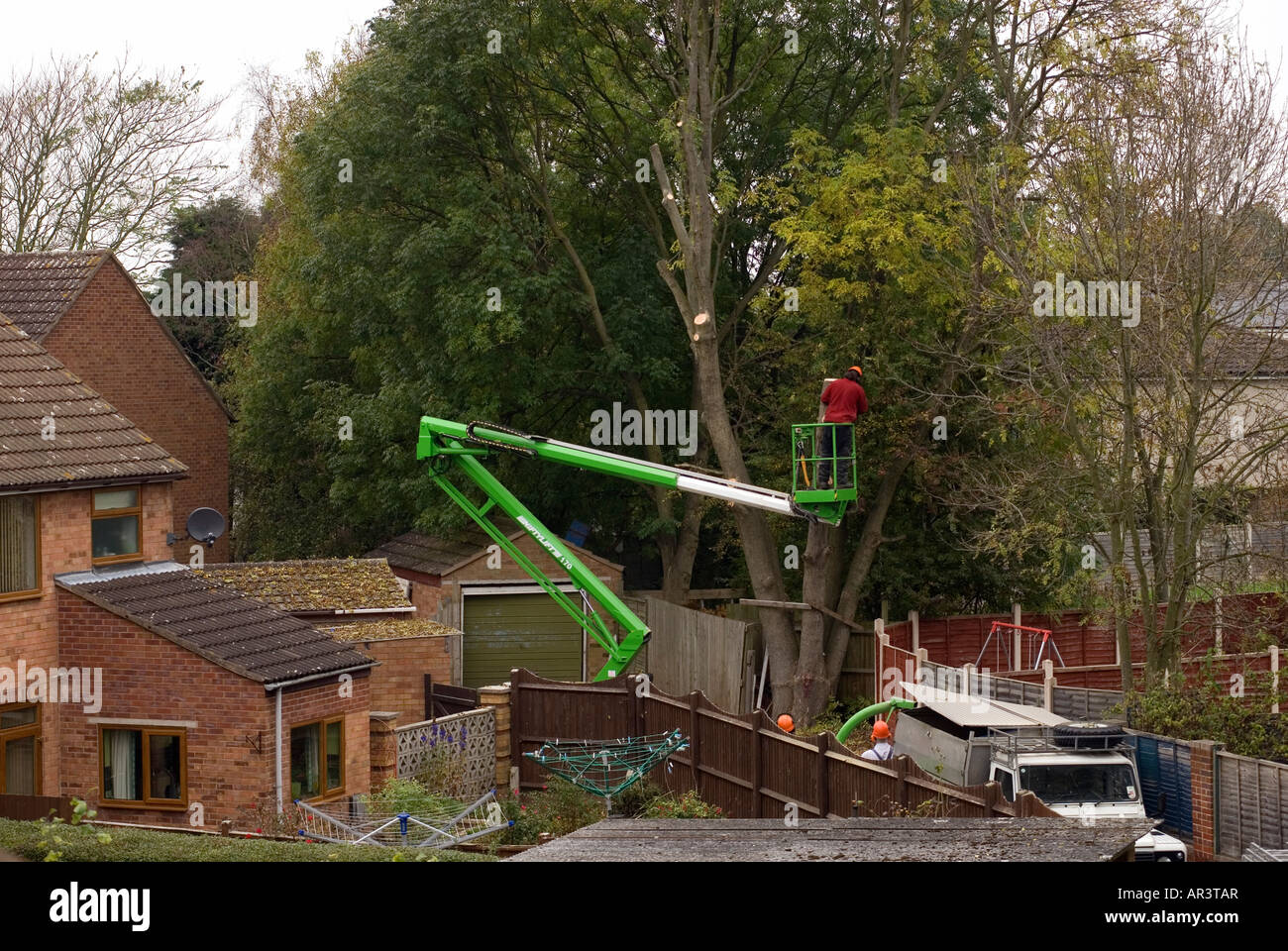 Tree Surgeon dépose de l'arbre en toute sécurité un espace clos Banque D'Images