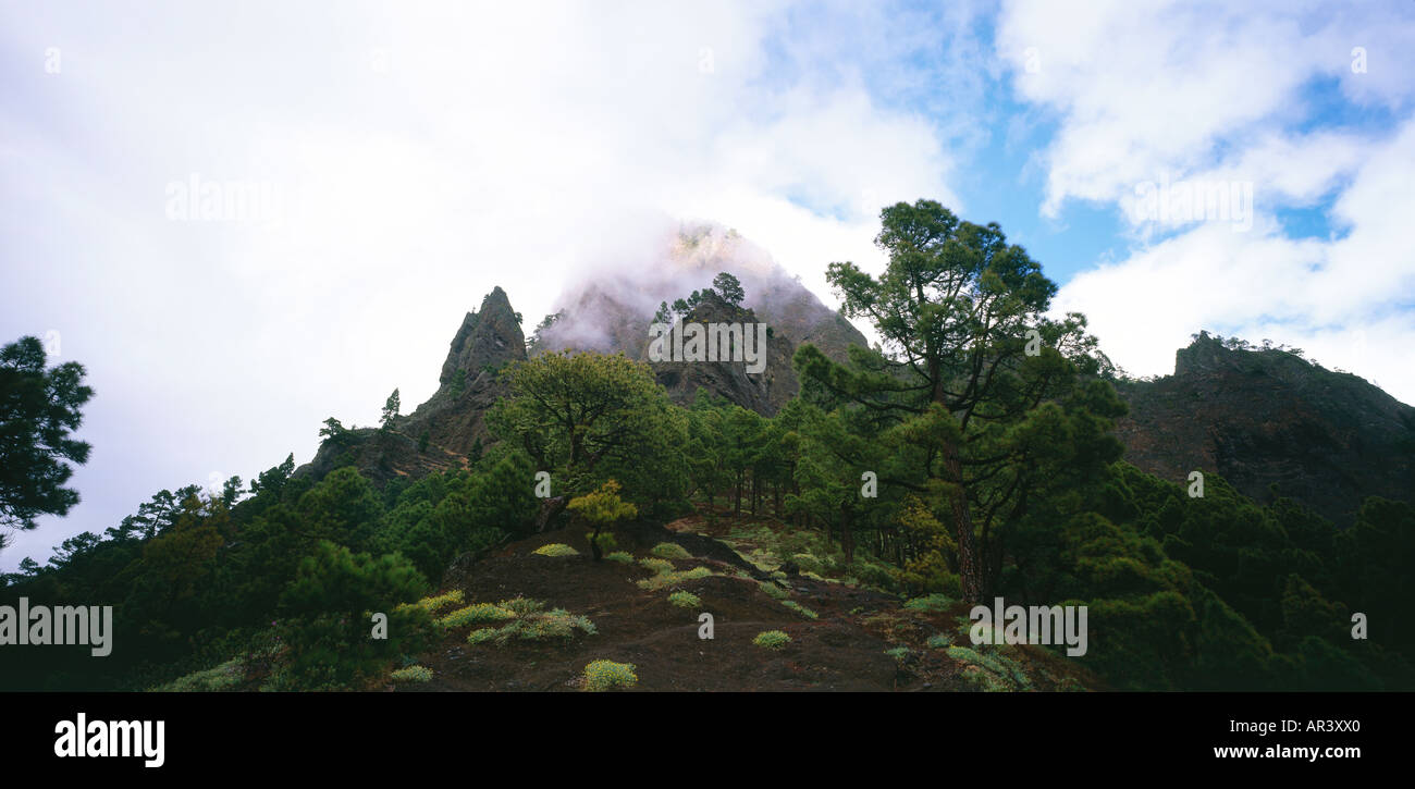 Caldera de Taburiente, La Palma, Espagne Banque D'Images