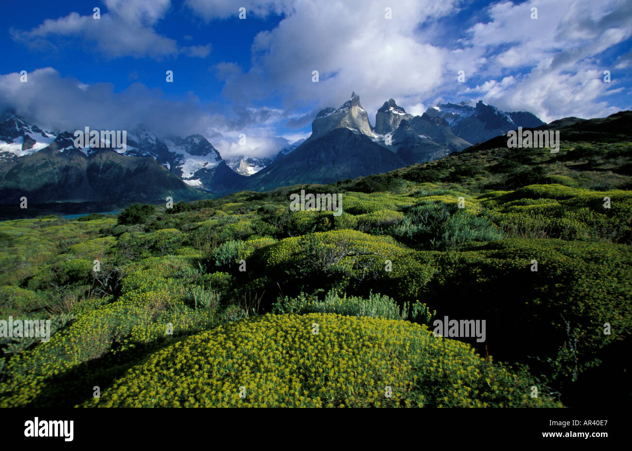 Chili Torres del Paine Glacier Banque D'Images