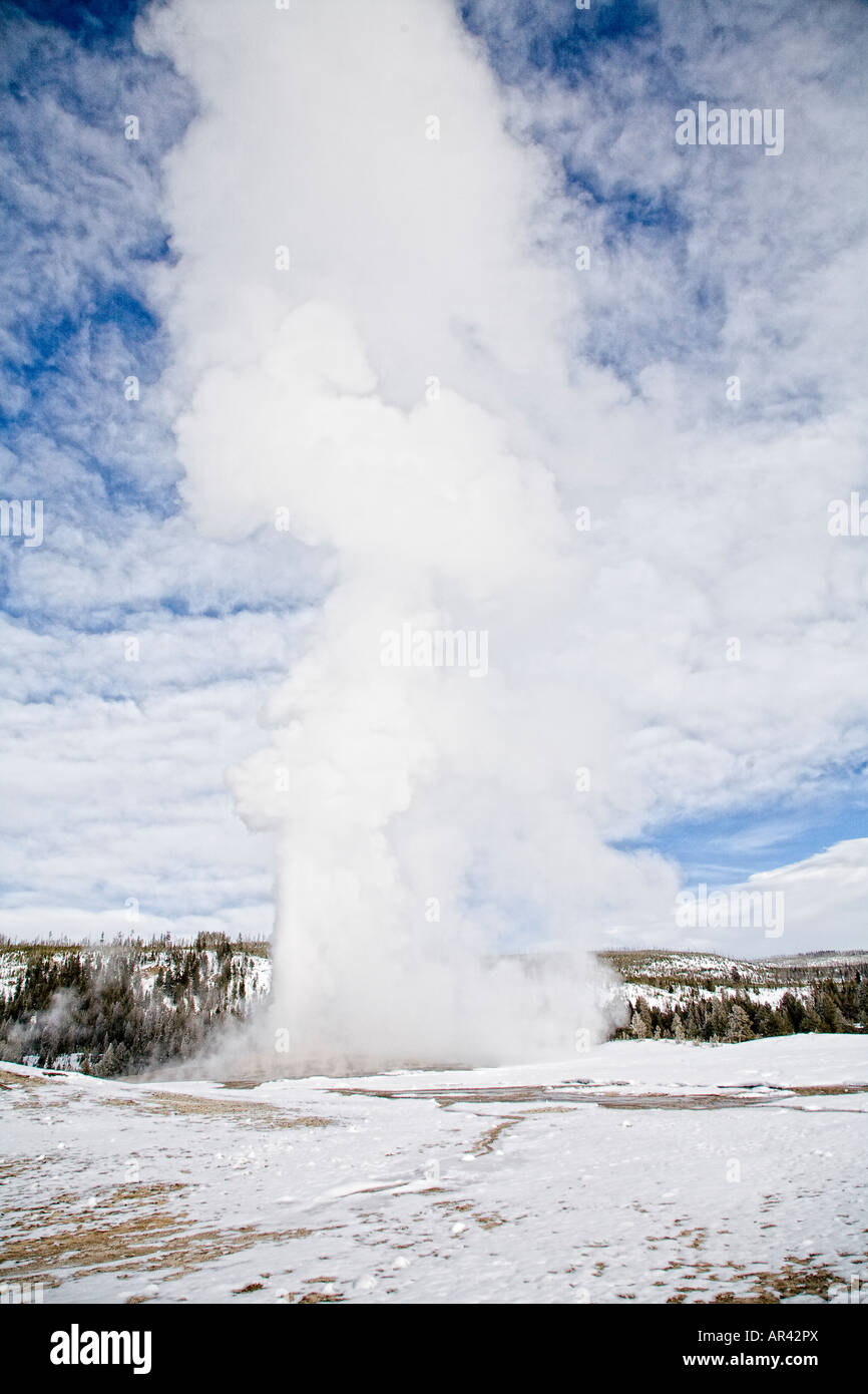 Le Parc National de Yellowstone en hiver la neige a couvert Old Faithful Geyser en éruption Banque D'Images