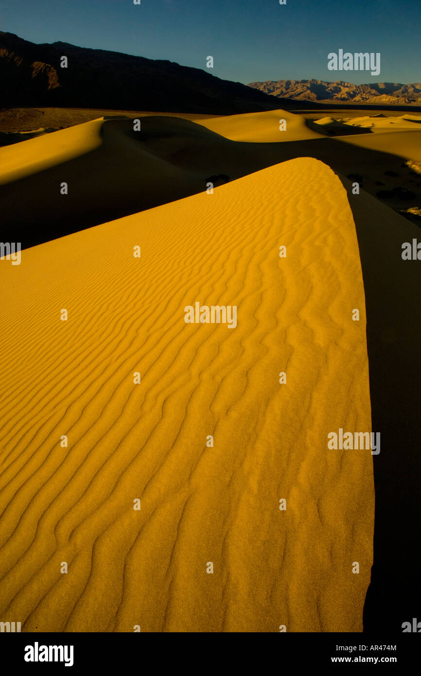 Dunes de sable et les desgins ondulation sur les Dunes Mesquite Appartements près de tuyau de poêle Wells salon Death Valley NP Banque D'Images