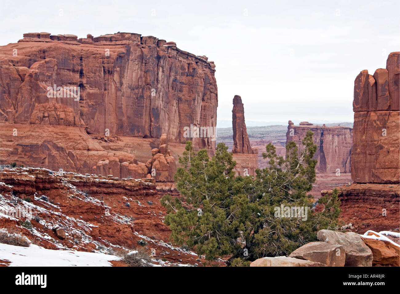 Arches Park Ave formation avec un cèdre près. Monument National des Arches l'Utah Banque D'Images