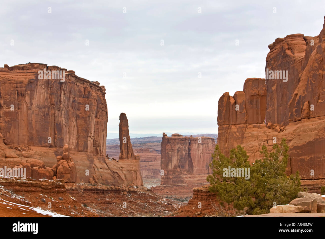 Arches Park Ave formation avec un cèdre. Monument National des Arches l'Utah Banque D'Images