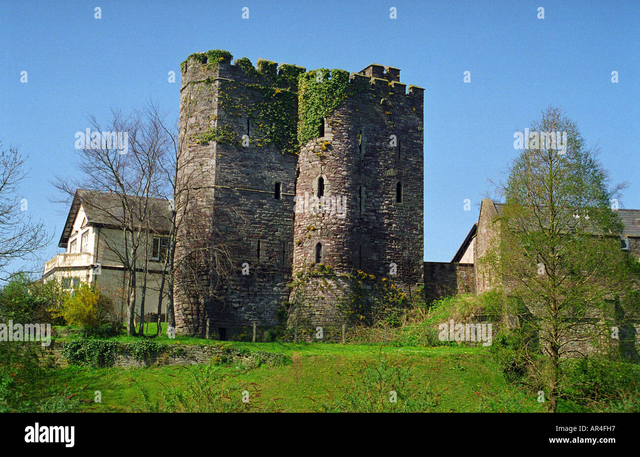 Château fleur de cerisier Printemps Willow Tree River Afon Honddu jonquilles Celandines de Brecon castle Tower Tourelles Banque D'Images