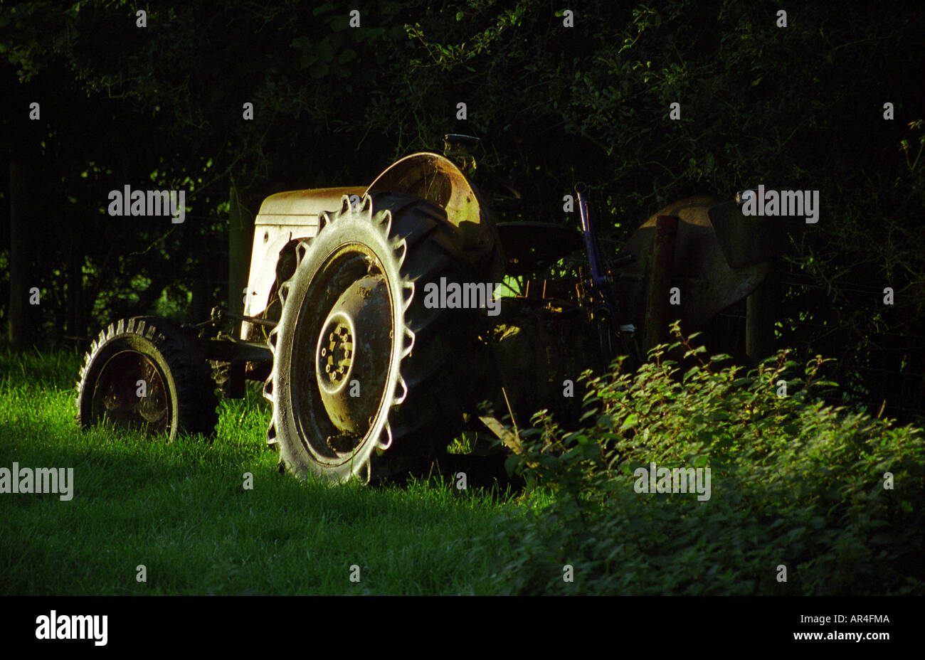 Les roues des machines garde-boue de Ferguson T20 Les pneus du tracteur antique d'été Couverture orties Banque D'Images