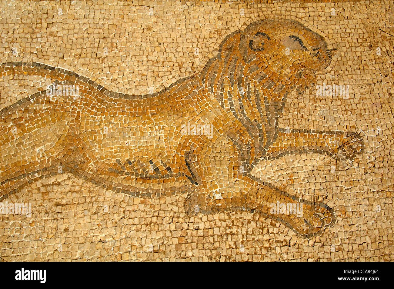 Mosaïque figurative représentant un lion à Césarée en Israël Banque D'Images