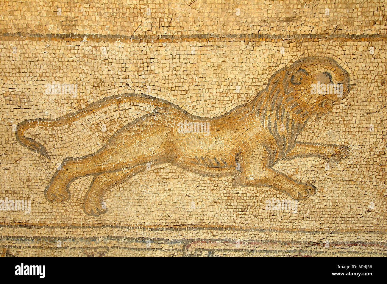 Mosaïque figurative représentant un lion à Césarée en Israël Banque D'Images