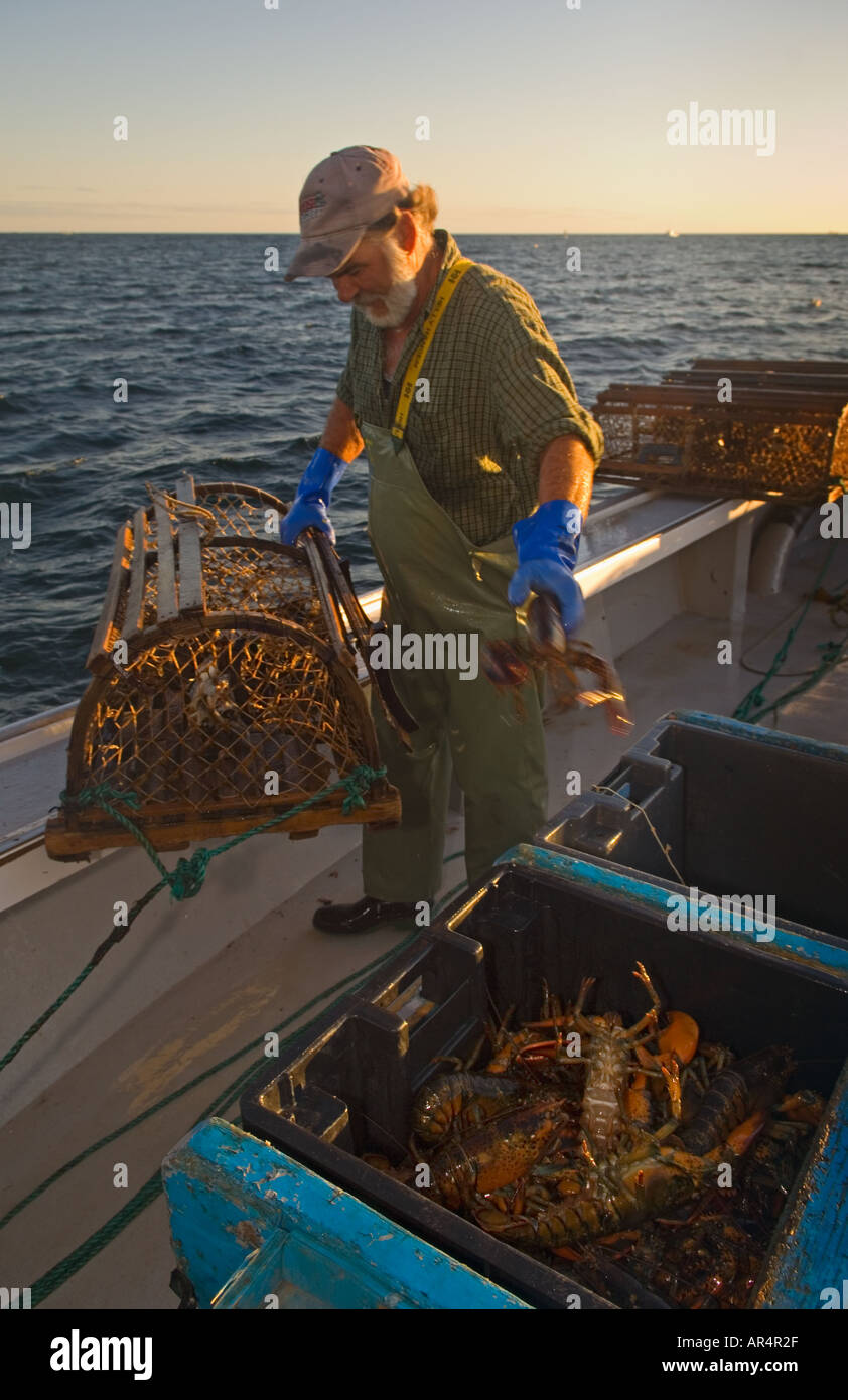 Keith Peters pêcheur de homard dépose des pièges en voile vague d'argent près de Rustico Prince Edward Island Canada Banque D'Images
