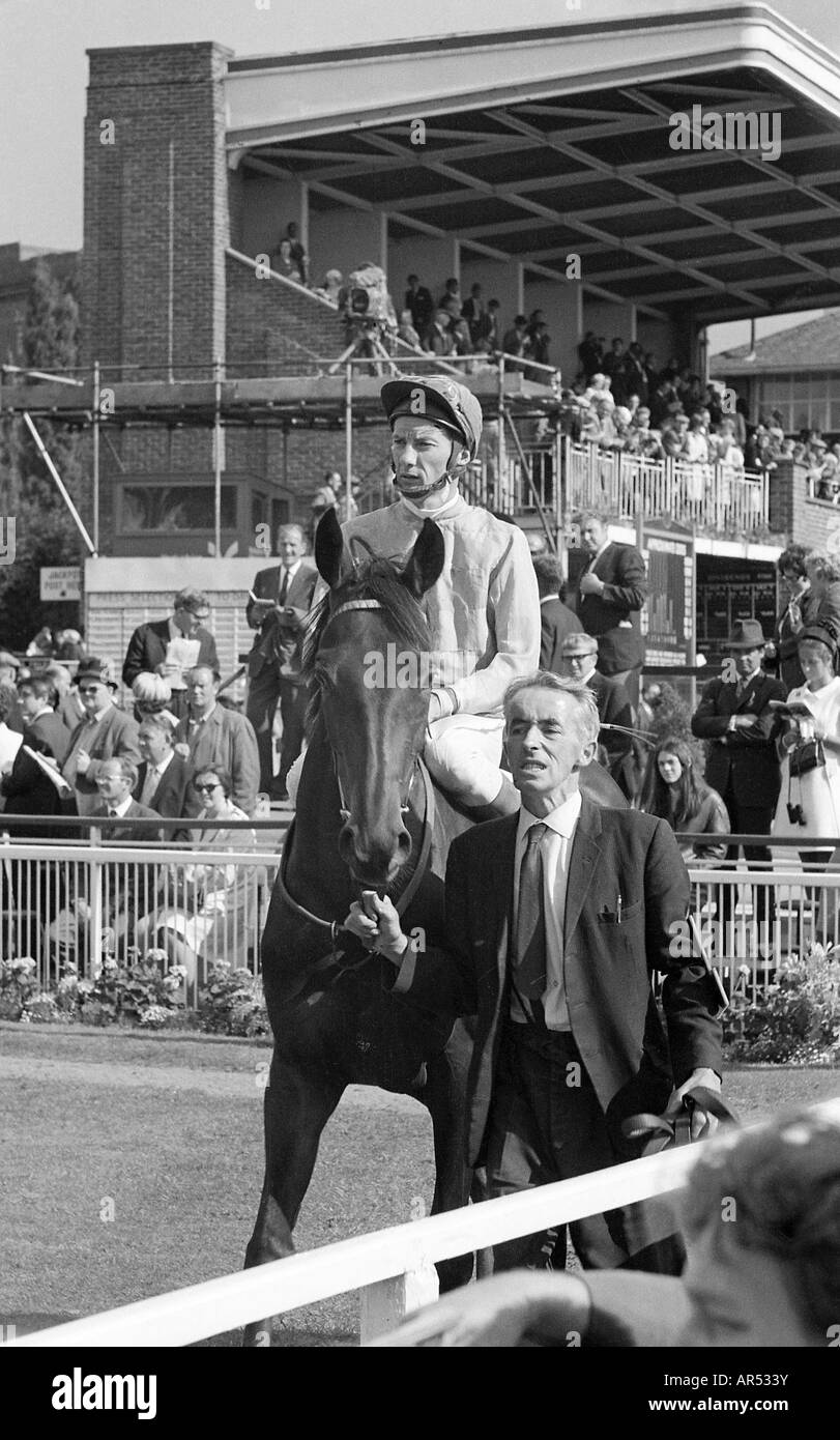 Le champion britannique télévision jockey course pendant de nombreuses années, Lester à York Place Jean-Piggot courses. Banque D'Images