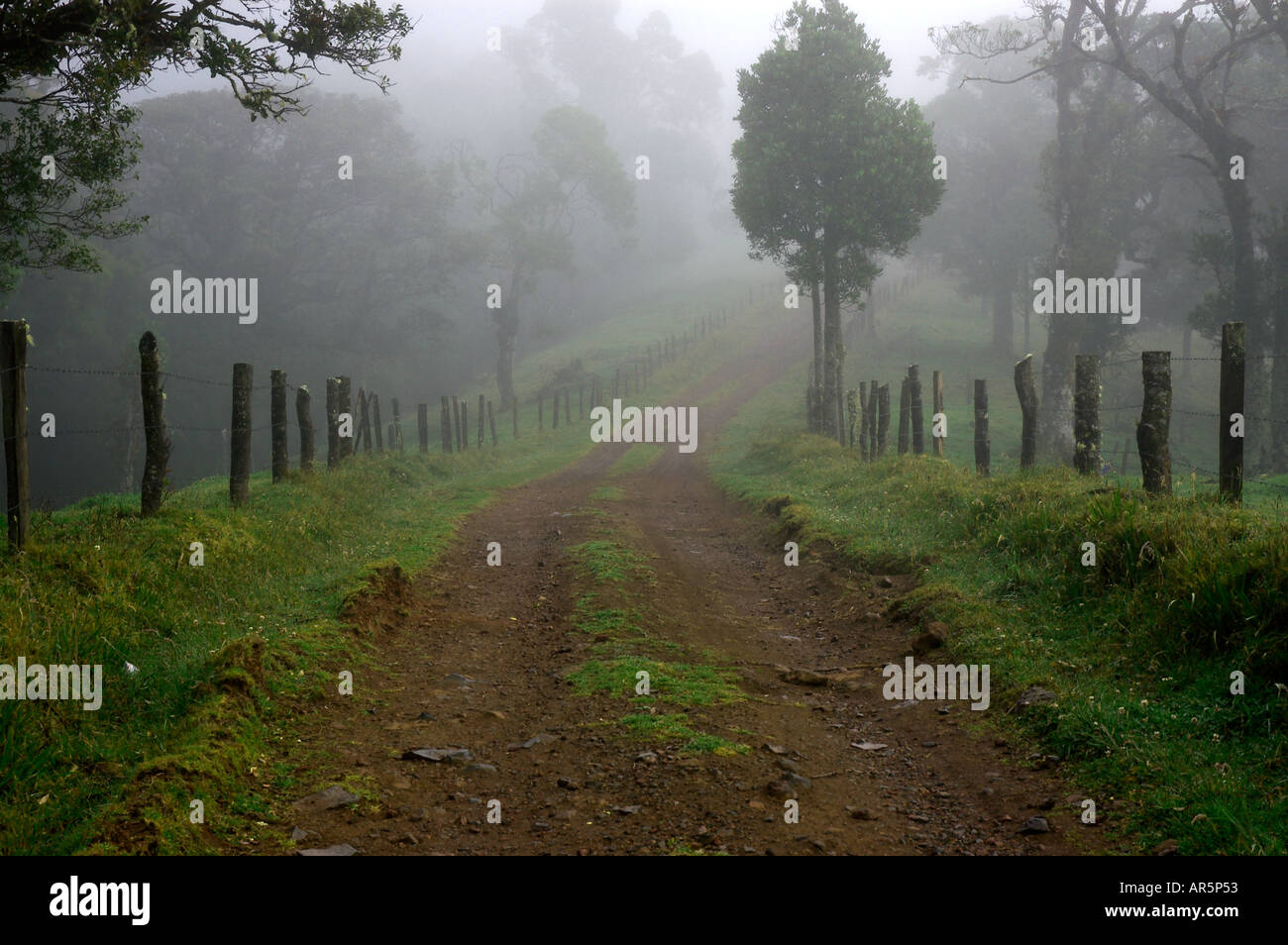L'arrière-pays brumeux road Costa Rica Banque D'Images