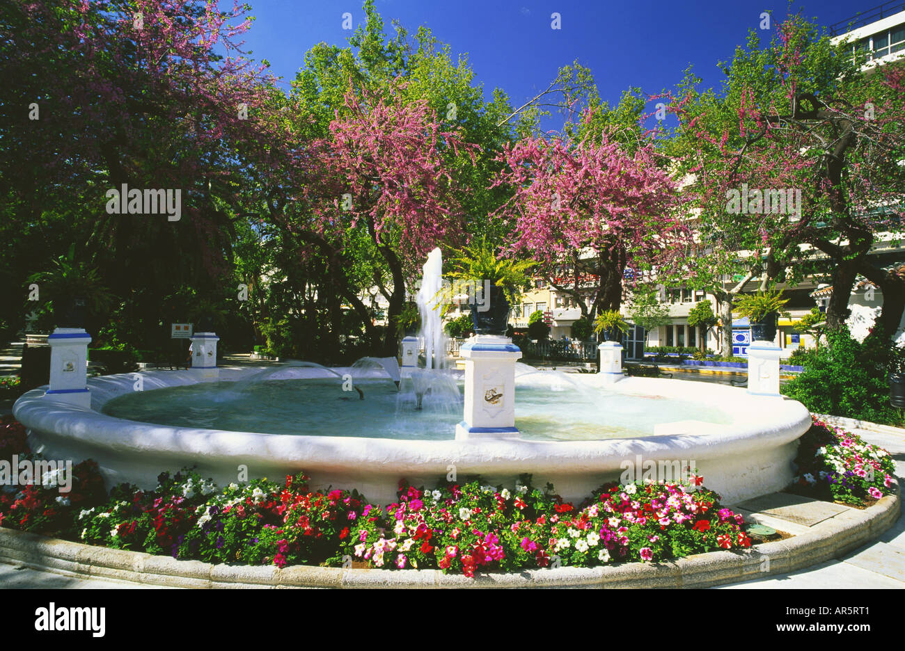 Parc Municipal, Avenida Ramon y Cajal, Marbella, Malaga, Andalousie, Espagne Banque D'Images