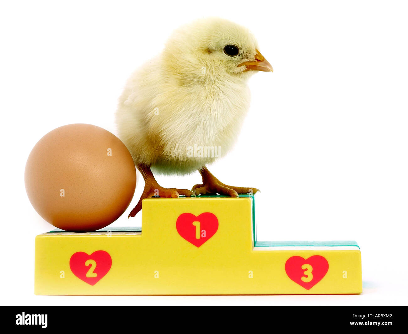 Chick et podium - qui est venu en premier l'œuf ou la poule. Banque D'Images