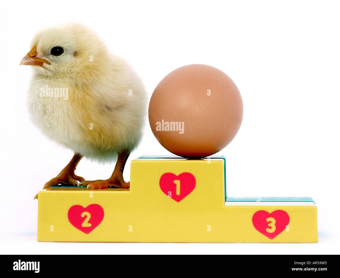 Chick et podium - qui est venu en premier l'œuf ou la poule. Banque D'Images