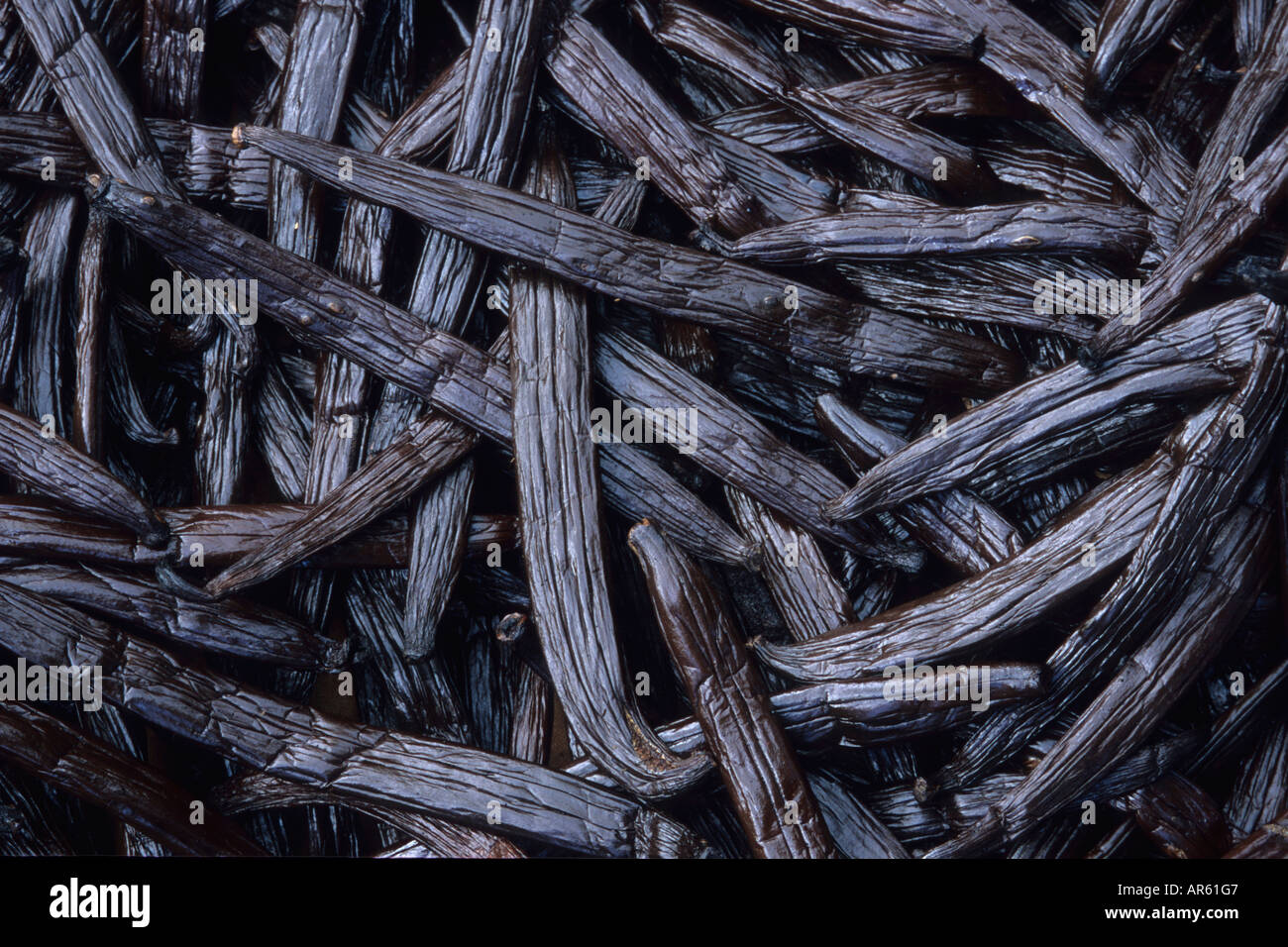 Vanille, Huahine, Polynésie Française Banque D'Images
