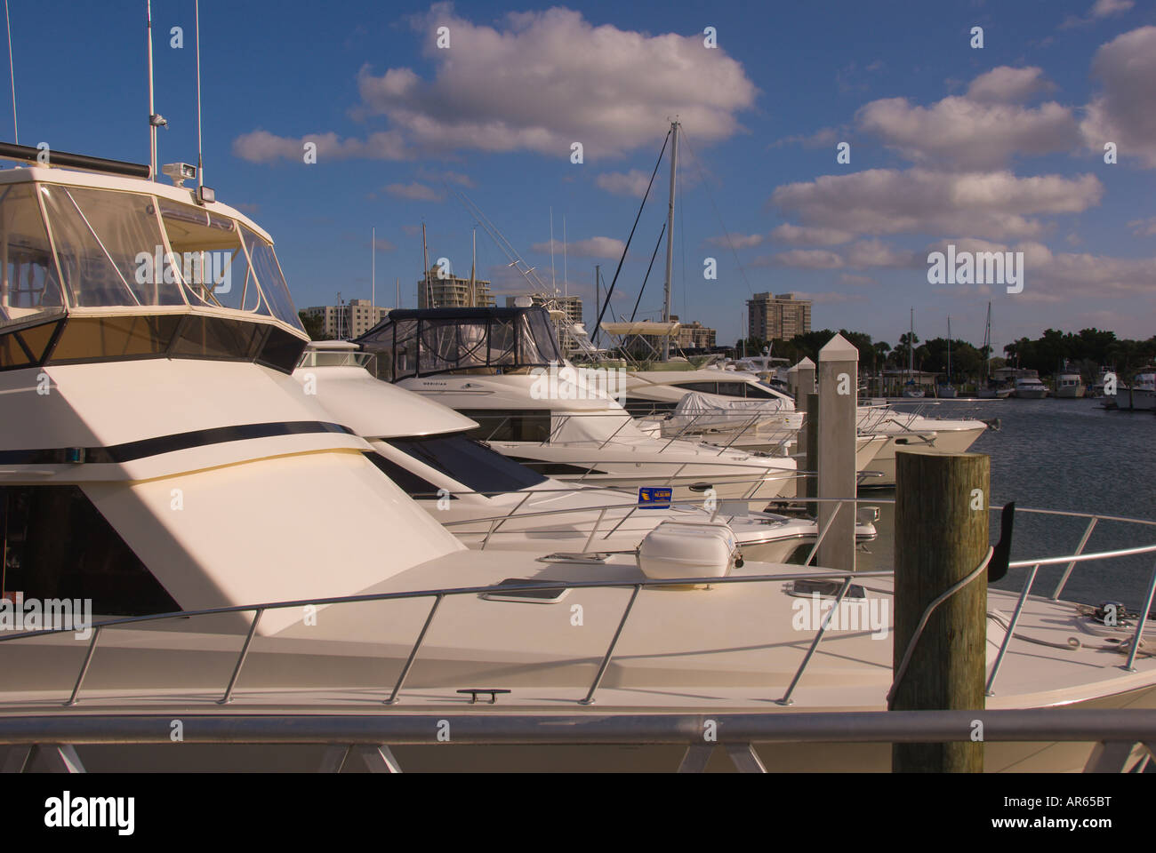 Jack Marina Bayfront Plaza Sarasota Bayfront Park Plaza bay/Sarasota Floride FL Fla fond ciel bleu du sud soleil bs s ci Banque D'Images