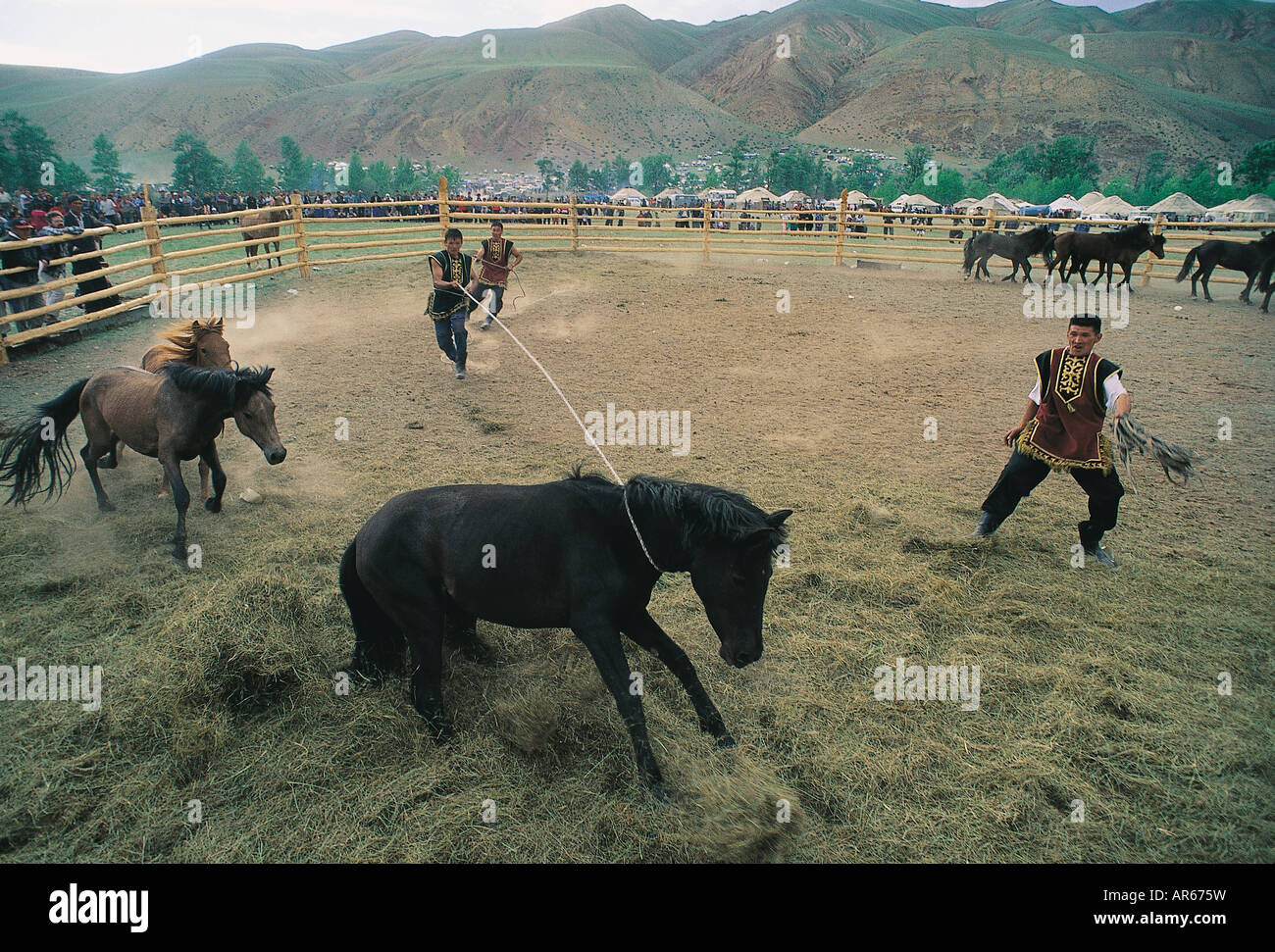 Les gens de l'Altaï le poisson rouge les chevaux dans El Oyun festival , Ukok Plaine , Montagnes de l'Altaï en Russie . Banque D'Images