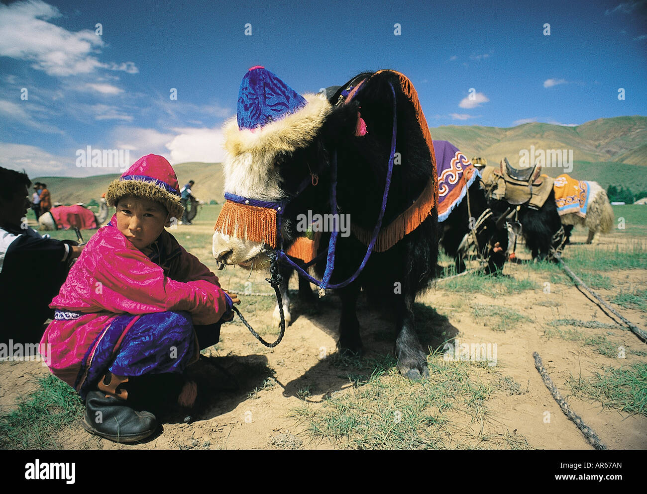 Garçon turc de l'Altaï et les yaks dans El Oyun festival , Ukok Plaine , Montagnes de l'Altaï en Russie . Banque D'Images