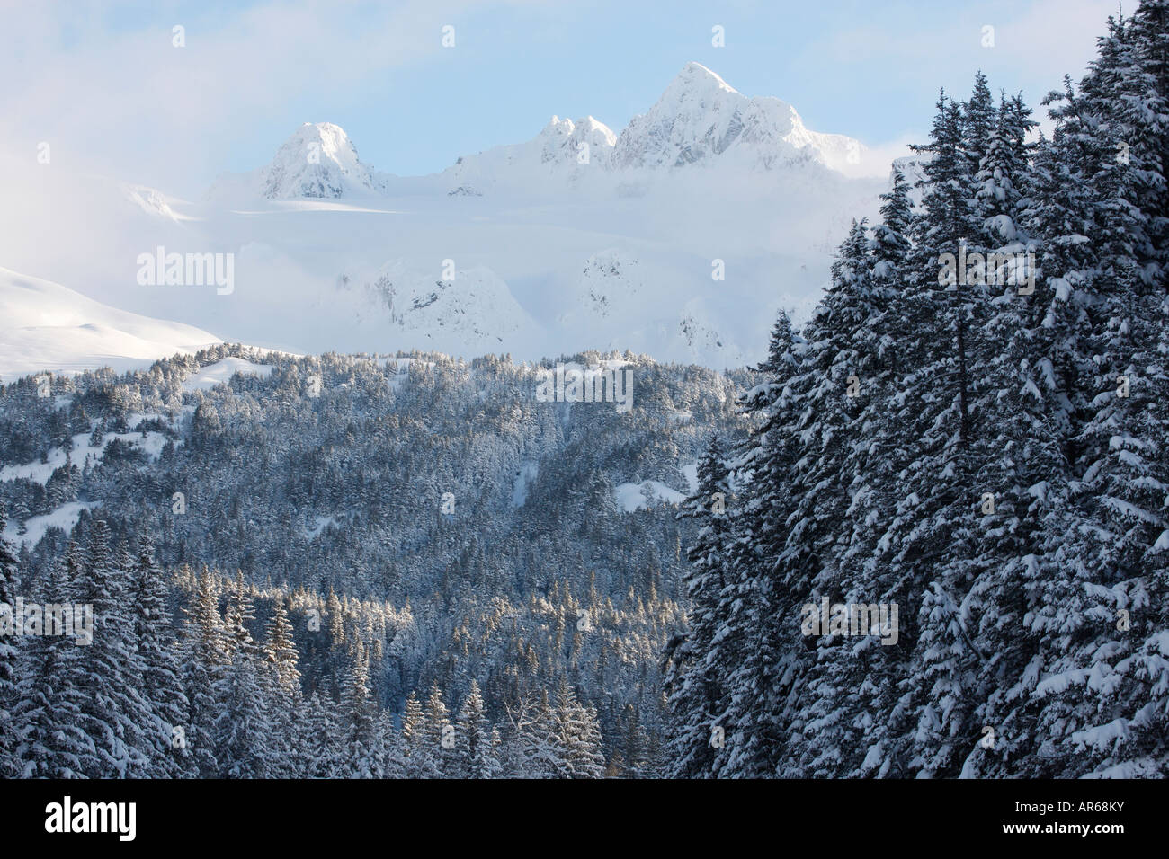 Montagnes couvertes de neige dans la forêt nationale de Chugach ALASKA Seward Banque D'Images