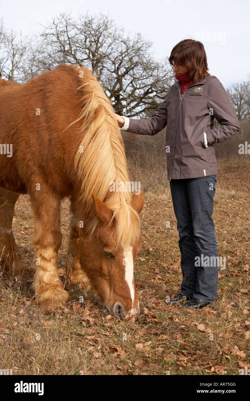 Jeune femme de caresser un draft horse Banque D'Images