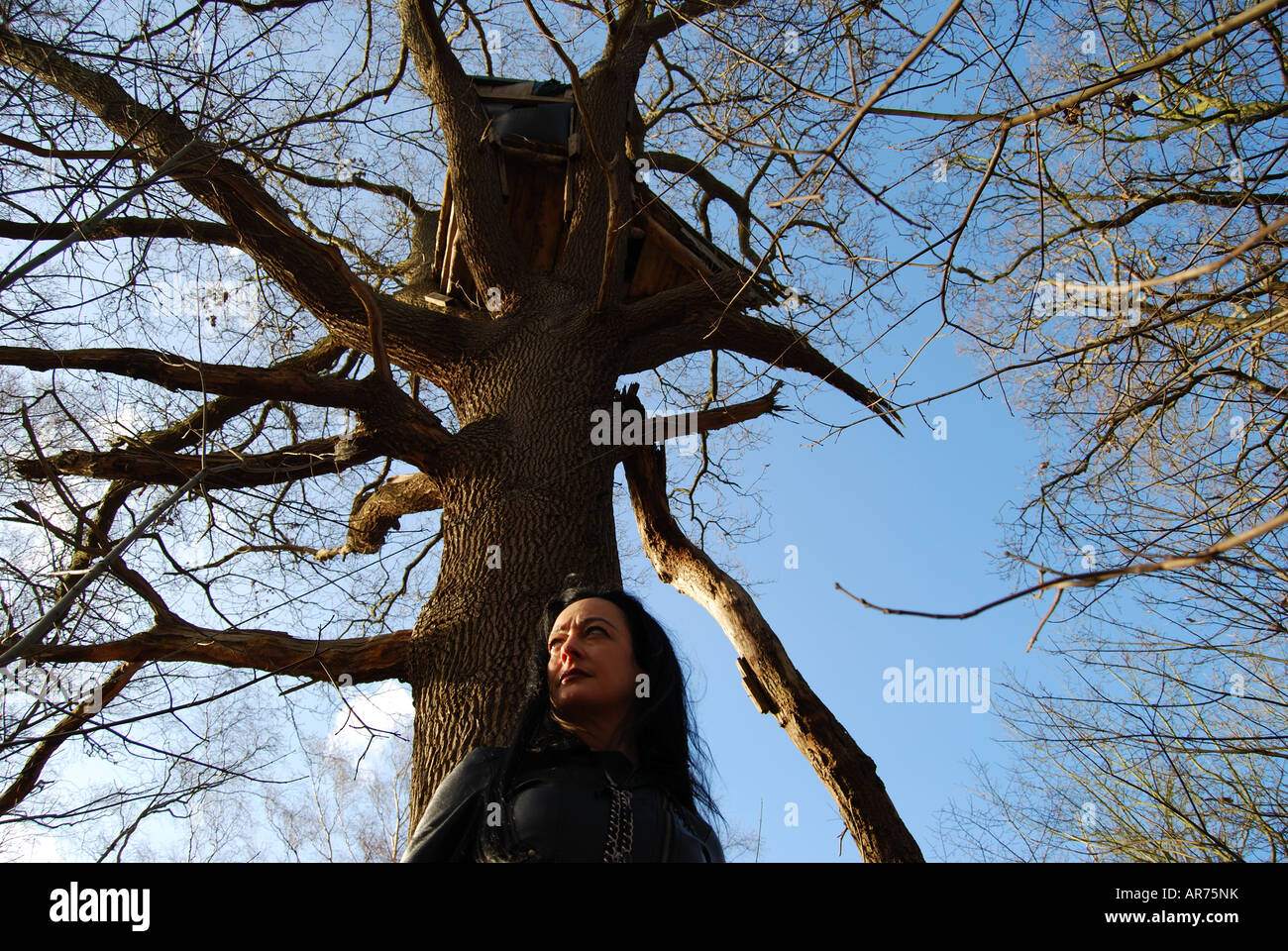 Femme en noir modèle posant dans woods, Virginia Water, Surrey, Angleterre, Royaume-Uni Banque D'Images