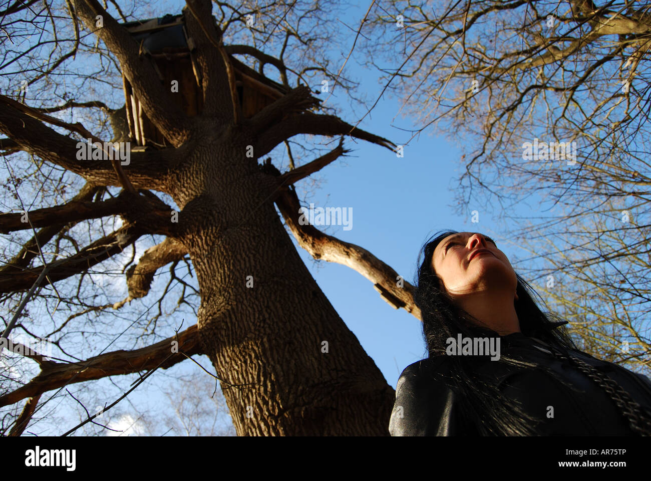 Femme en noir modèle posant dans woods, Virginia Water, Surrey, Angleterre, Royaume-Uni Banque D'Images