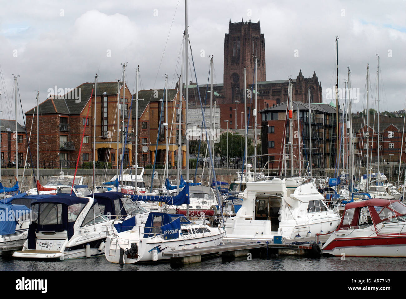 Guanaco Dock Liverpool Banque D'Images