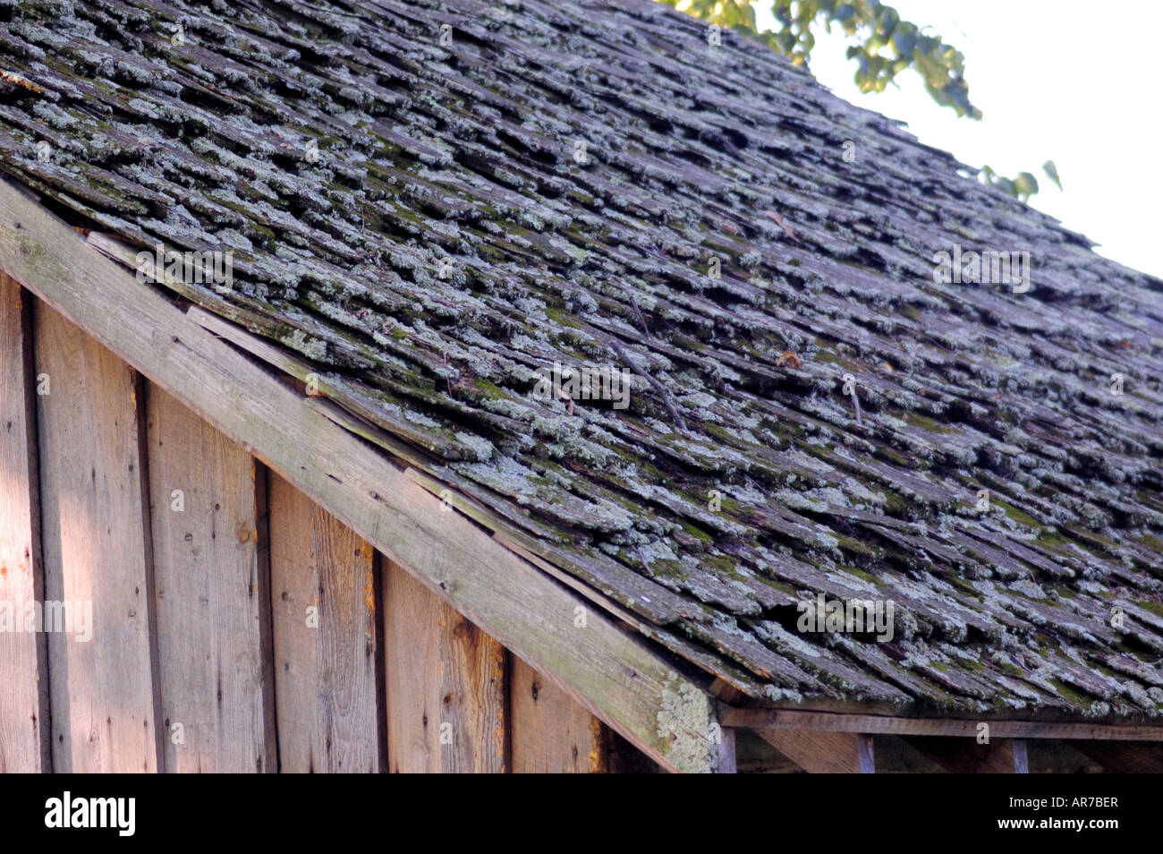 Shakes en bois sur le toit d'un pioneer log cabin au Kentucky USA Banque D'Images