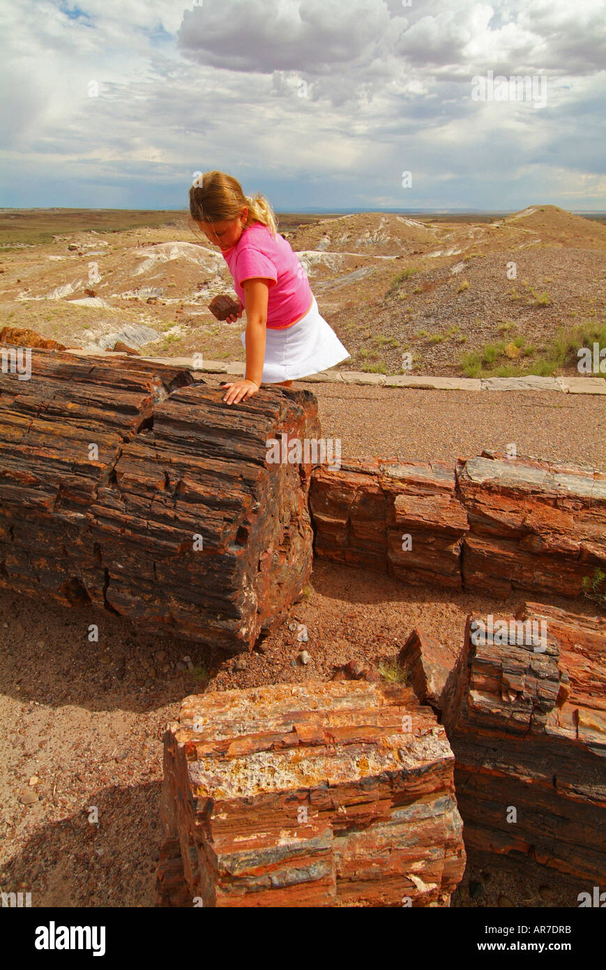 USA Arizona AZ Nation Park Forêt Pétrifiée une fille 11 études un article d'un journal pétrifié sur le gigantesque Procès Journaux Banque D'Images