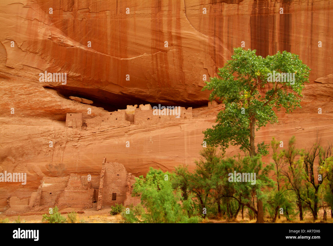 Ruines de la Maison Blanche, Canyon de Chelly, Arizona AZ Banque D'Images