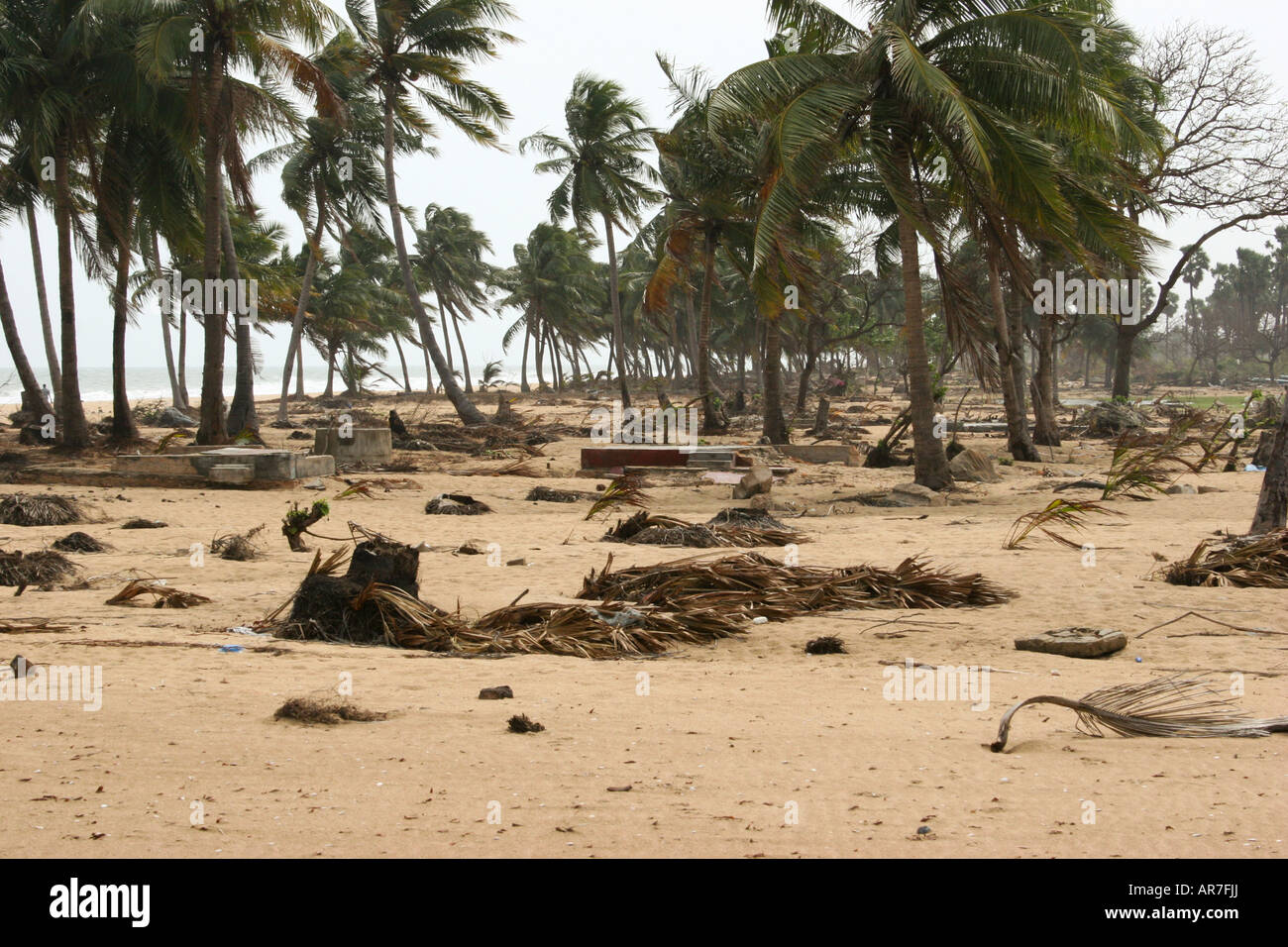 Village aplati sur la péninsule de Jaffna avec seulement l'assise à gauche après le tsunami a frappé en 2004, le Sri Lanka. Banque D'Images