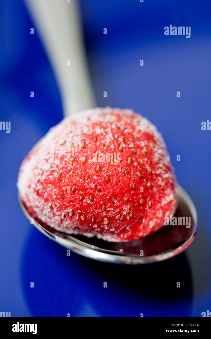 Aliments colorés still life / fruit : fraise rouge congelé avec une cuillère sur la plaque bleue. Banque D'Images