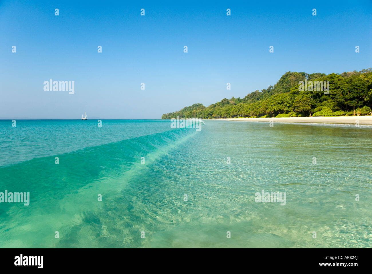 Numéro de plage sur l'île sept Havelock dans les îles Andaman en Inde Banque D'Images