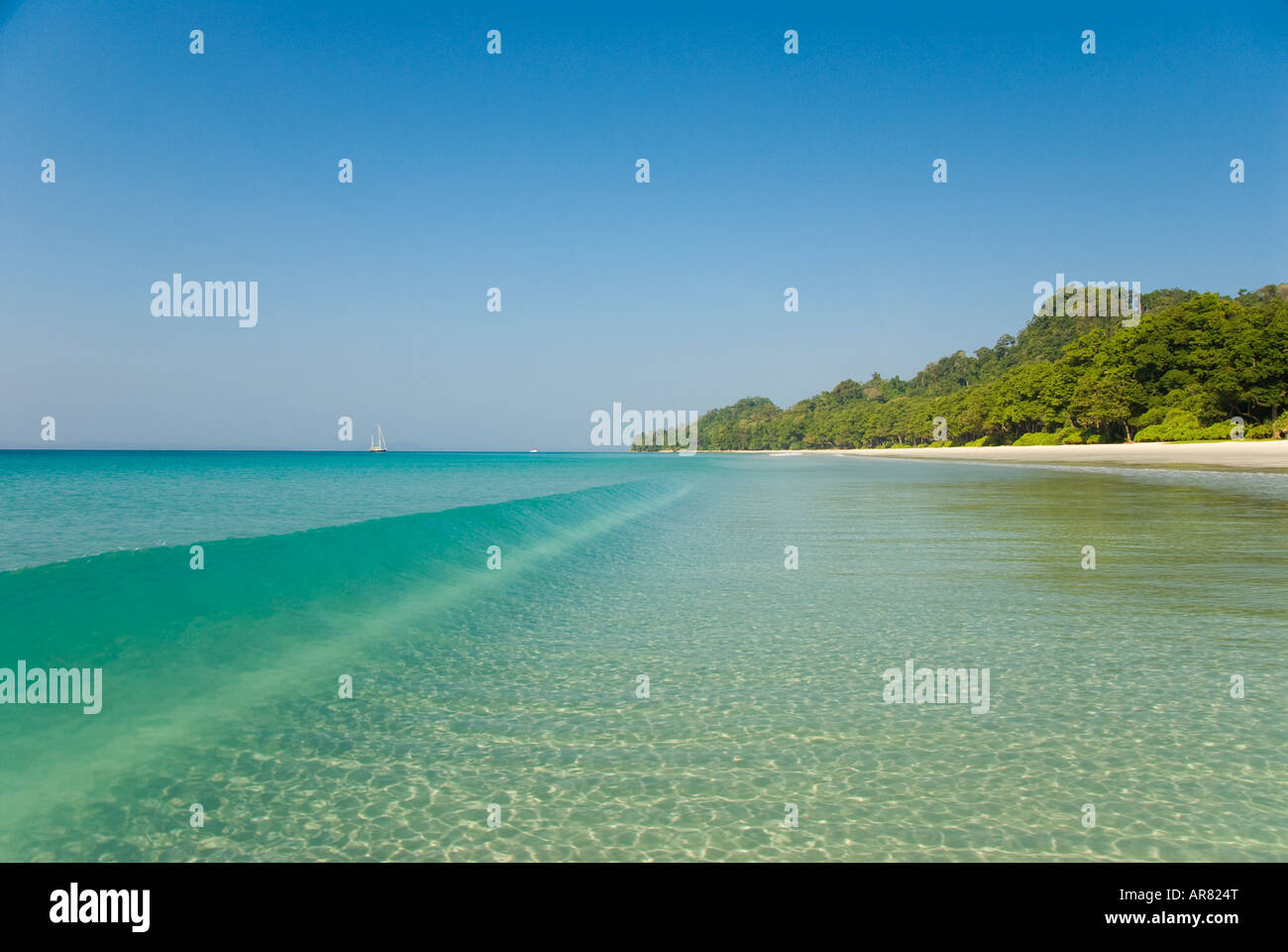 Numéro de plage sur l'île sept Havelock dans les îles Andaman en Inde Banque D'Images