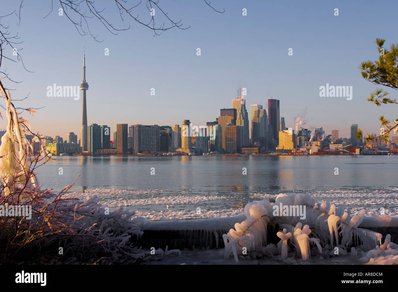 Le centre-ville de Toronto Skyline - Ontario - Canada Banque D'Images