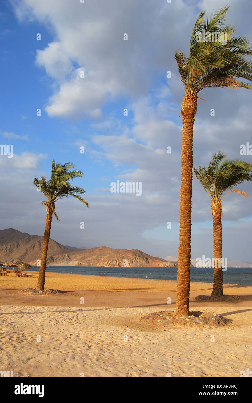 Vue de la plage, l'établissement Hyatt Regency Taba Heights, Taba Heights, péninsule du Sinaï, Égypte Banque D'Images