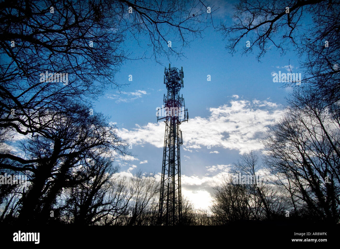 Un téléphone mobile en bois mât en vert Glossops Crawley West Sussex Banque D'Images