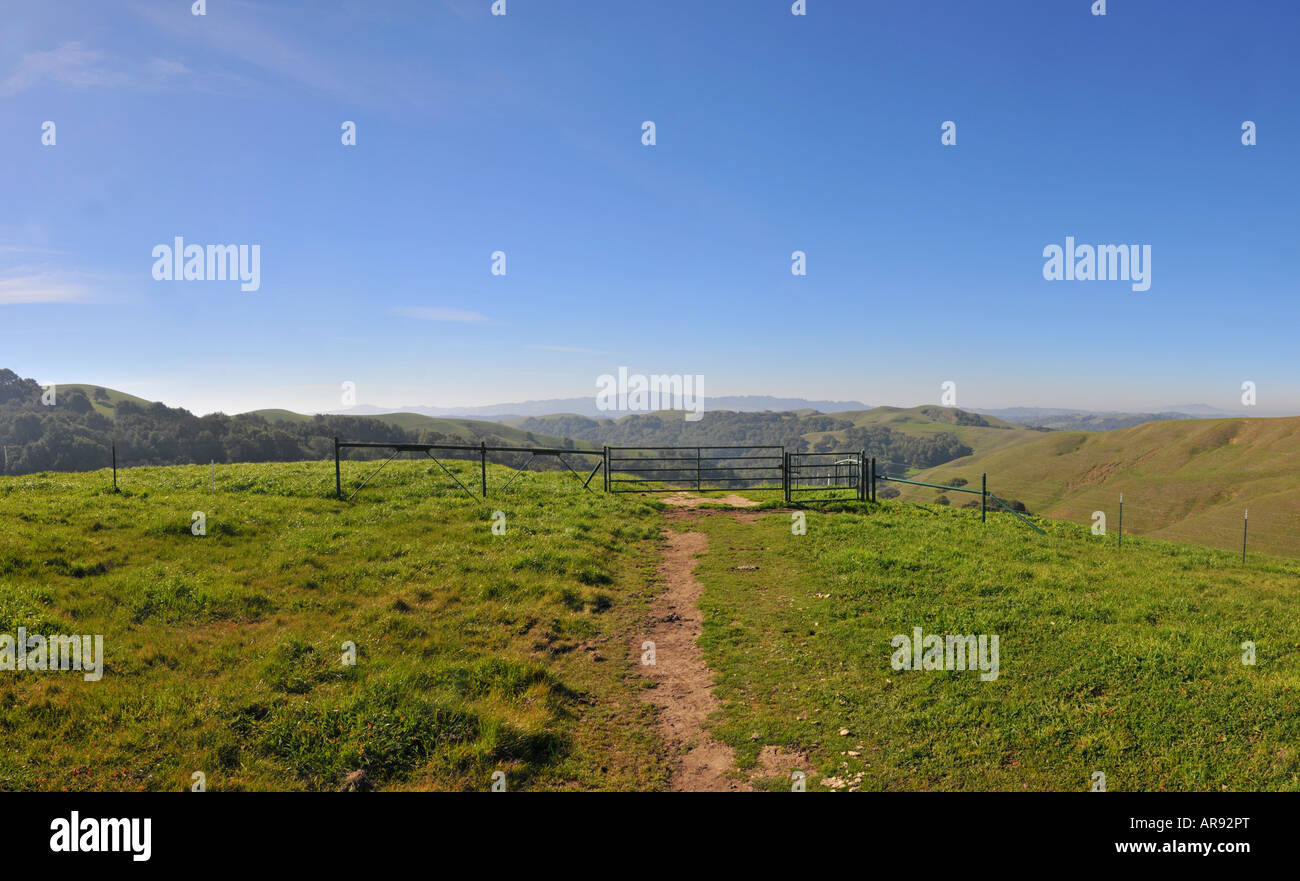 Une porte dans Briones Regional Park Banque D'Images